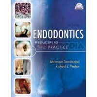 Image of Endodontics Principle And Practice