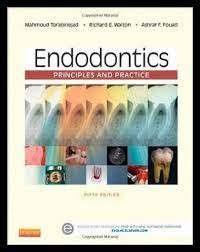 Image of Endodontics Principles And Practice