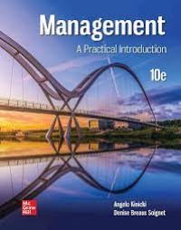 Management : a practical introduction (e-Book Magister Manajemen)