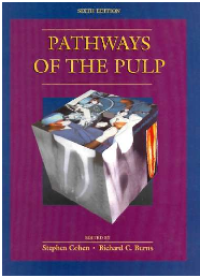 Pathways of The Pulp