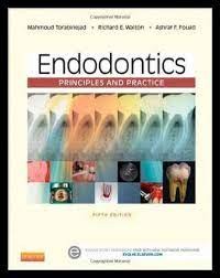 Endodontics Principles And Practice