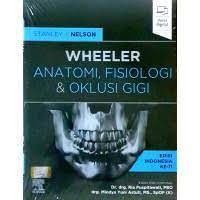 Wheeler Anatomi, Fisiologi & Oklusi Gigi